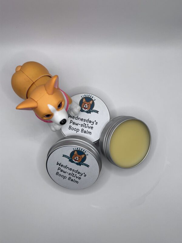 Wednesday's Paw-sitive Boop Balm (Non Scented) - Image 3