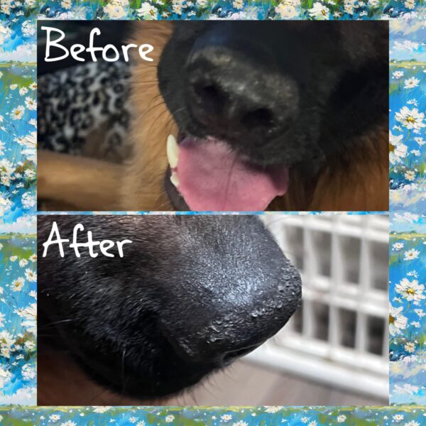 Wednesday's Paw-sitive Boop Balm (Non Scented) - Image 4